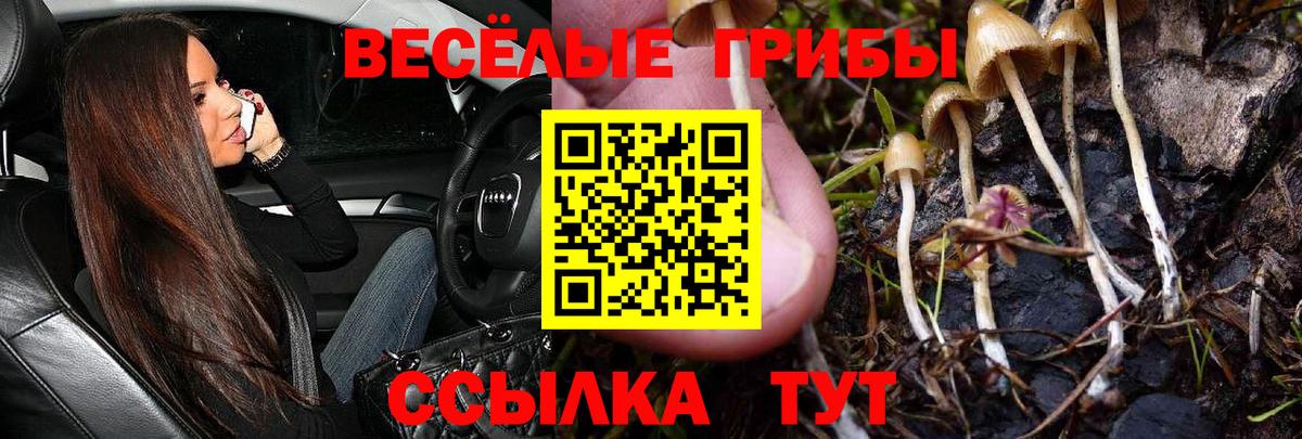 Псилоцибиновые грибы прущие грибы  Вход с VPN  Псилоцибиновые грибы Magic Shrooms  Миллерово 